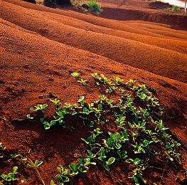 RTS《要塞》系列新商标曝光：《要塞：黑暗时代》